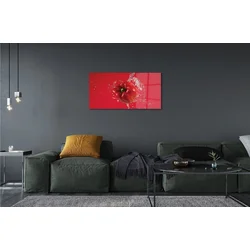 tulup.si Slika na steklu Poper voda 120x60 cm 4 obešalnika