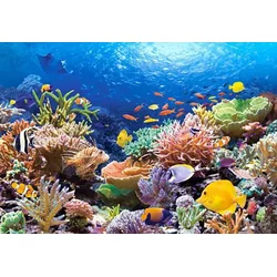 Castorland - Puzzle Coral Fish - 1 000 kosov