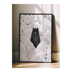 WallXpert uramljena slika 115191, crni konj među belim konjima, 30 x 40 cm, crni ram