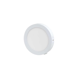 LED plafonsko svetlo LED/12W/230V