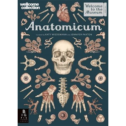 Anatomicum
