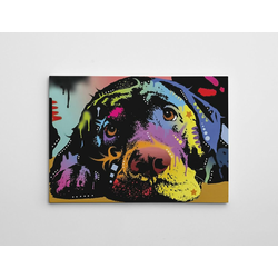 WALLXPERT WY164 (50 x 70)