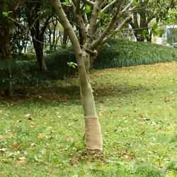 Rola jute 0,25x100 m 100 % juta 200 g/m2