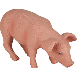 Moj prašiček