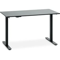 Radni sto sa podesivom visinom SVANEKE 60x120 crna