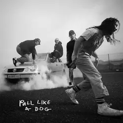 The Scratch - Pull Like A Dog (Yellow Coloured) (LP)