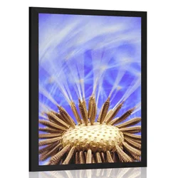 Plakat regrat v vijolični varianti - 60x90 no frame