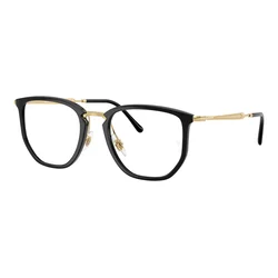 Ray-Ban RX4451V 2000