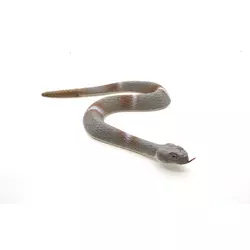 Gumena zmija 46cm, Igračka zmija