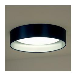 Duolla - LED plafonska svetiljka ROLLER LED/24W/230V prečnika 45 cm plava/srebrna