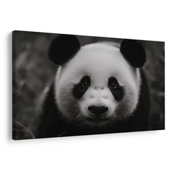 Slika prisrčna panda v naravi - 90x60