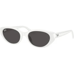 RAY-BAN RB4457D 677287