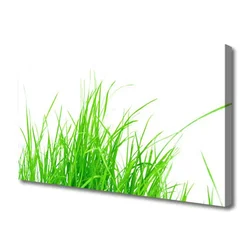 tulup.si Slika na platnu Travnate bilke 100x50 cm