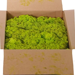 Dekorativna prirodna mahovina N54, 500g, Svetlozelena
