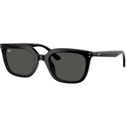 Ray-Ban Naočare za sunce RB 4439D 901/87