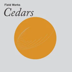 Field Works - Cedars (Limited Edition) (LP)