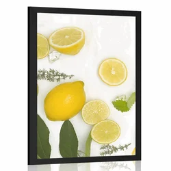 Plakat mešanica citrusov - 20x30 silver