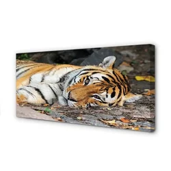 tulup.si Slika na platnu Leži tiger 140x70 cm