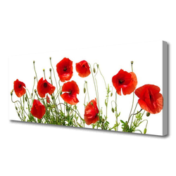 tulup.si Slika na platnu Mak rože narava rastlin 125x50 cm