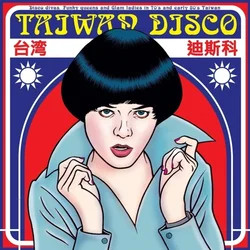 Various Artists - Taiwan Disco (LP)
