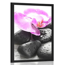 Plakat čudovita zbirka kamnov in orhidej - 40x60 black