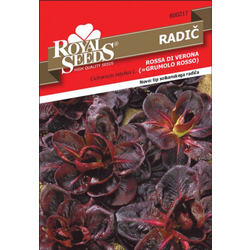 SEMENA ROYAL SEEDS RADIČ GRUMOLO R. 217