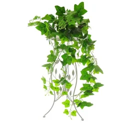 LOZICA HEDERA duzina - 97cm sirina - 42cm