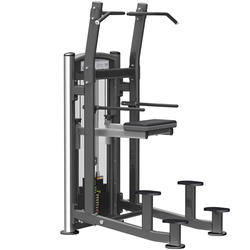 Weight Assisted Chin/Dip Combo Impulse Elite IT9320
