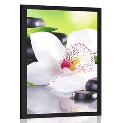 Plakat japonska orhideja - 20x30 no frame
