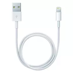 APPLE adapterski kabel, Lightning na USB, 0.5m