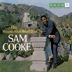 Sam Cooke The Wonderful World Of Sam Cooke (Vinyl LP)