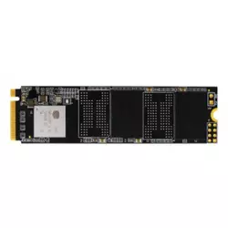Biostar 1TB M.2 NVMe M760 SSD disk