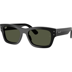Ray-Ban RB7683S 901/31