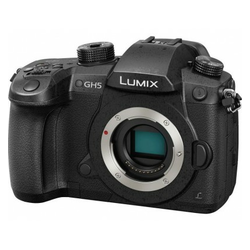 Panasonic Lumix GH5 (body)