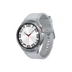 SAMSUNG Pametni sat Watch 6 Classic 47mm/ siva
