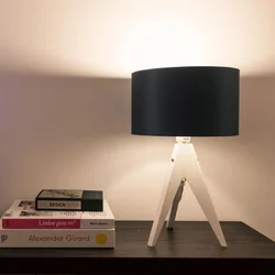 tint Müller Licht bela LED svetilka E27 9W, CCT