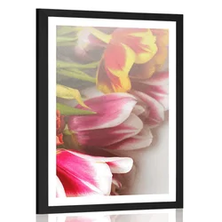 Plakat s paspartujem šopek barvitih tulipanov - 30x45 black
