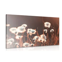 Slika bombaž - 120x80