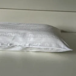 Jastučnica 100% pamučni saten 50x70cm Clas A46 ( VLK000177-clasa46 )