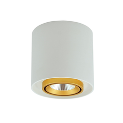 LED spot svetiljka XENO LED/15W/230V bela 1200lm
