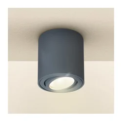 Brilagi - Reflektor MIA 1xGU10/30W/230V 84x80 mm antracit