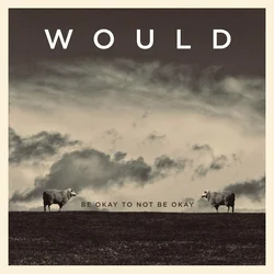 Would - Be Ok to Not Be Ok (LP)