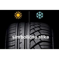 Waterfall Eco Winter ( 195/75 R16C 107R )