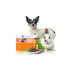 DERMOSCENT Ampula za pse 0-10kg Essential 6 spot-on 0.6ml