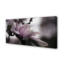 tulup.si Slika na platnu Magnolia 100x50 cm