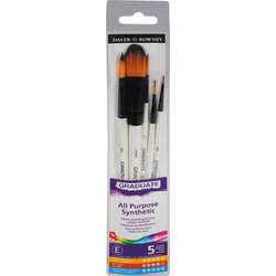 Daler Rowney Graduate Multi-Technique Brush Synthetic Set čopičev