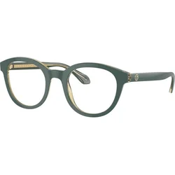 Giorgio Armani Naočare AR 7256 6086
