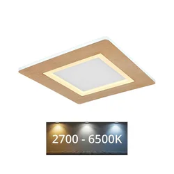 Globo 41767Q - LED plafonsko svetlo CLAY LED/23W/230V