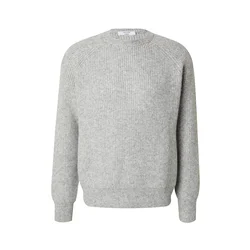 DAN FOX APPAREL Majica Michael pegasto siva