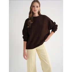 MixRay Pulover Pullover rjava